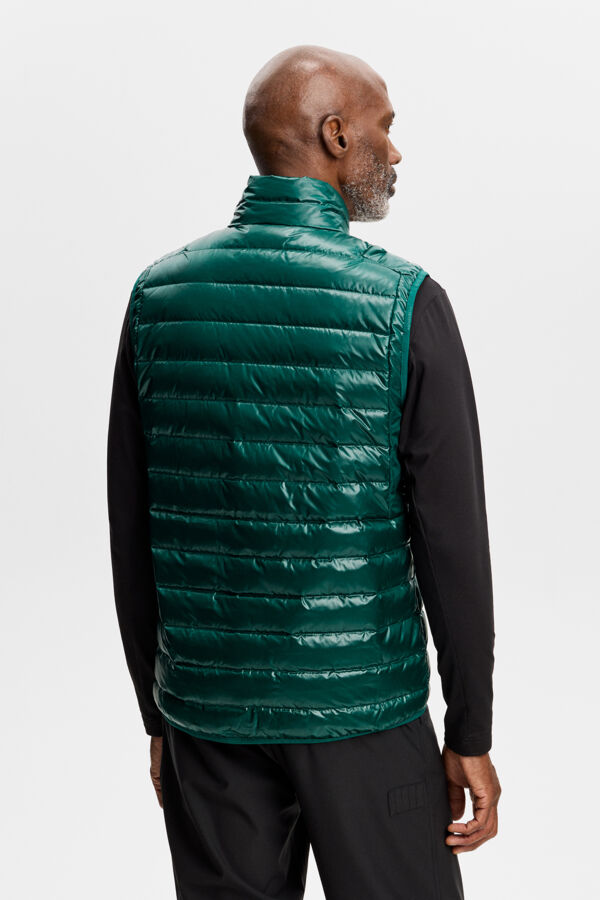 Oden Light Down Vest / Forest Biome
