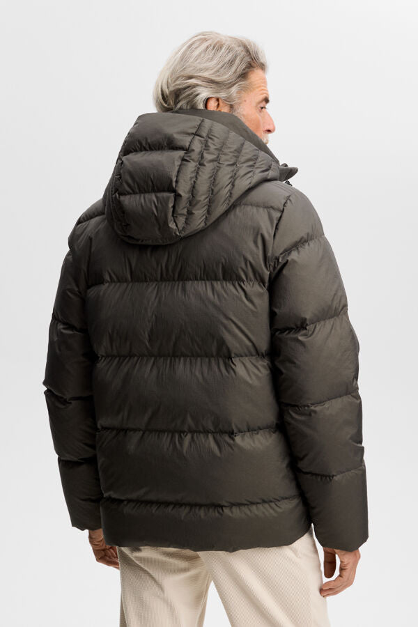Daryl Crinkle Down Jacket in Chimera green, back view showing horizontal quilting and attached hood.