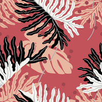 Paradise Monstera Coral