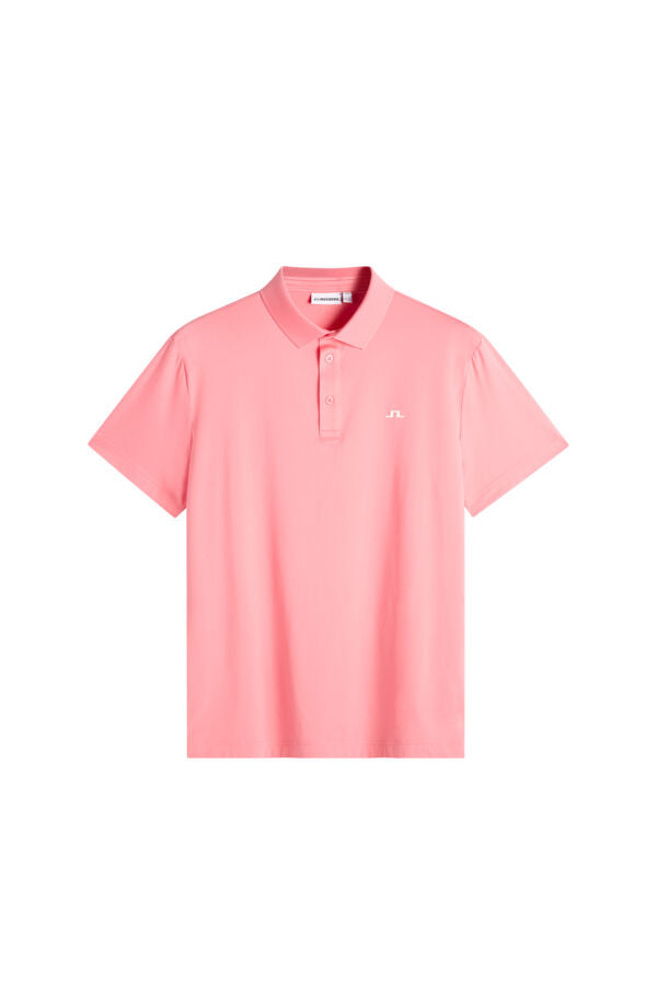 Bridge Polo / Flamingo Plume