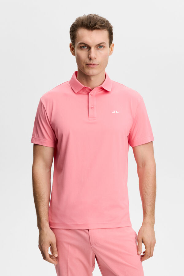Bridge Polo / Flamingo Plume