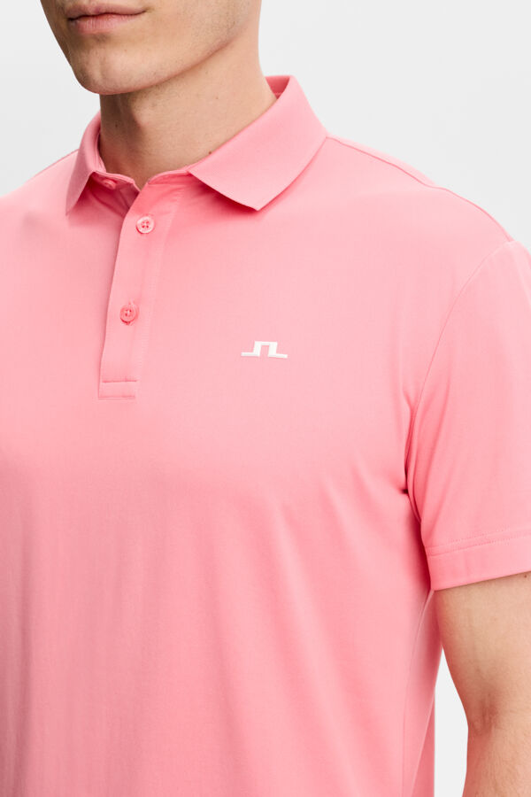 Bridge Polo / Flamingo Plume