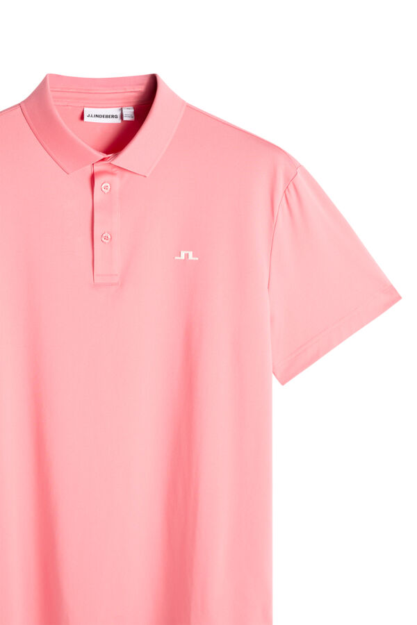 Bridge Polo / Flamingo Plume