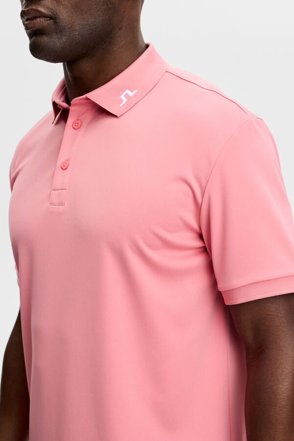 KV Polo / Flamingo Plume