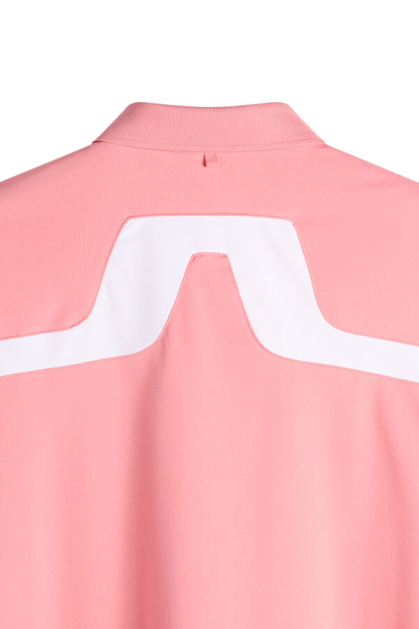 KV Polo / Flamingo Plume