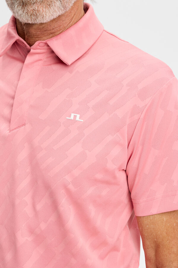 Wilhelm Polo / Flamingo Plume