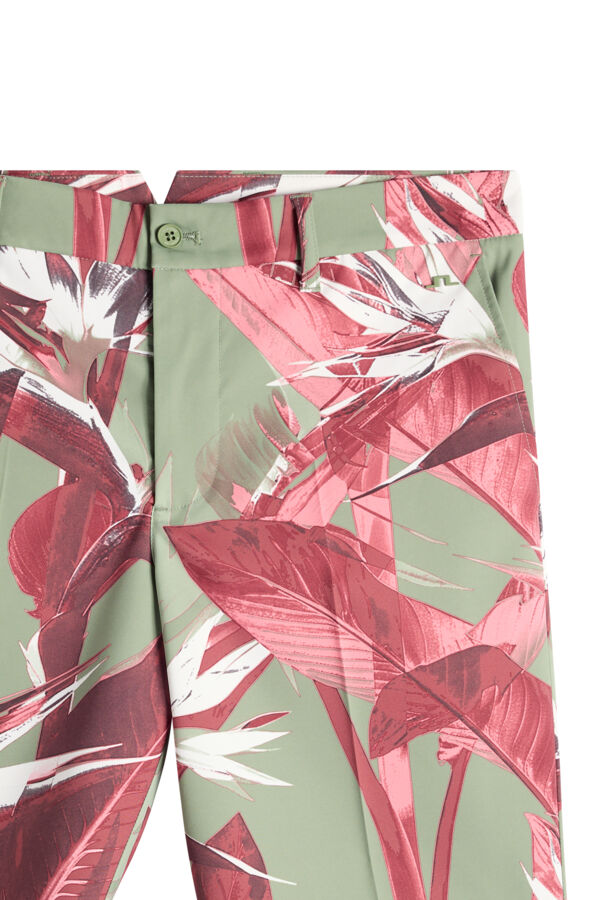 Eloy Print Shorts / Paradise Hedge Green M