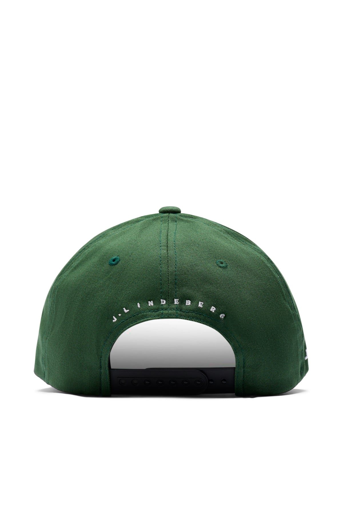 Heath Cap in Forest Biome by J.Lindeberg