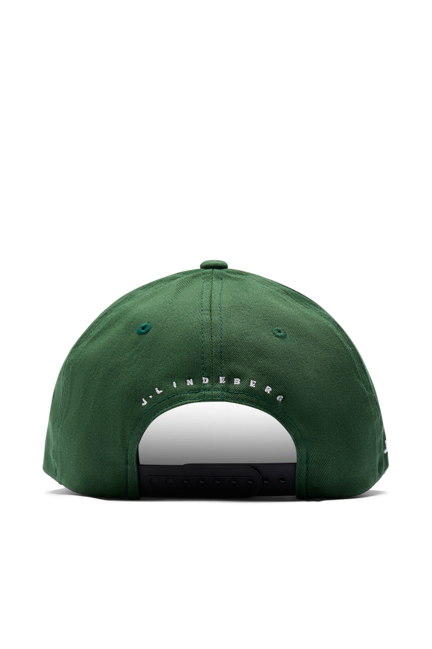 Heath Cap in Forest Biome by J.Lindeberg