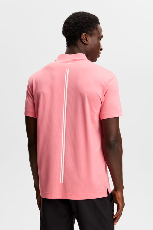Josh Polo / Flamingo Plume