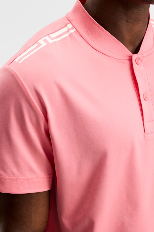 Josh Polo / Flamingo Plume