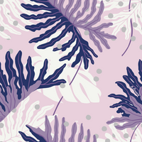 Paradise Monstera Pink