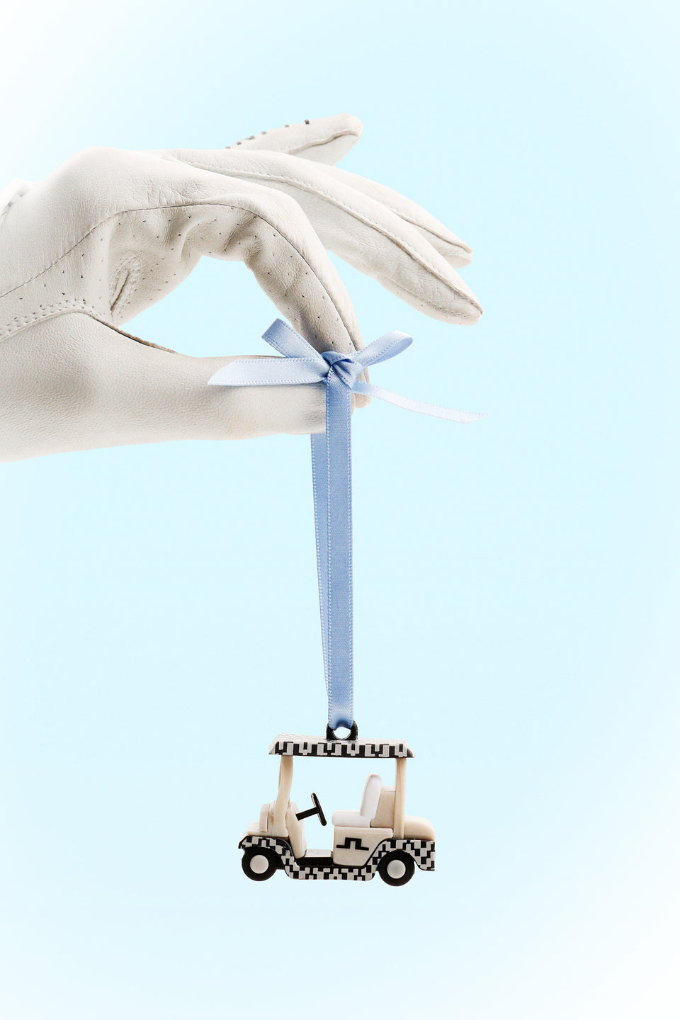 Ron Leather Golf Glove A / White