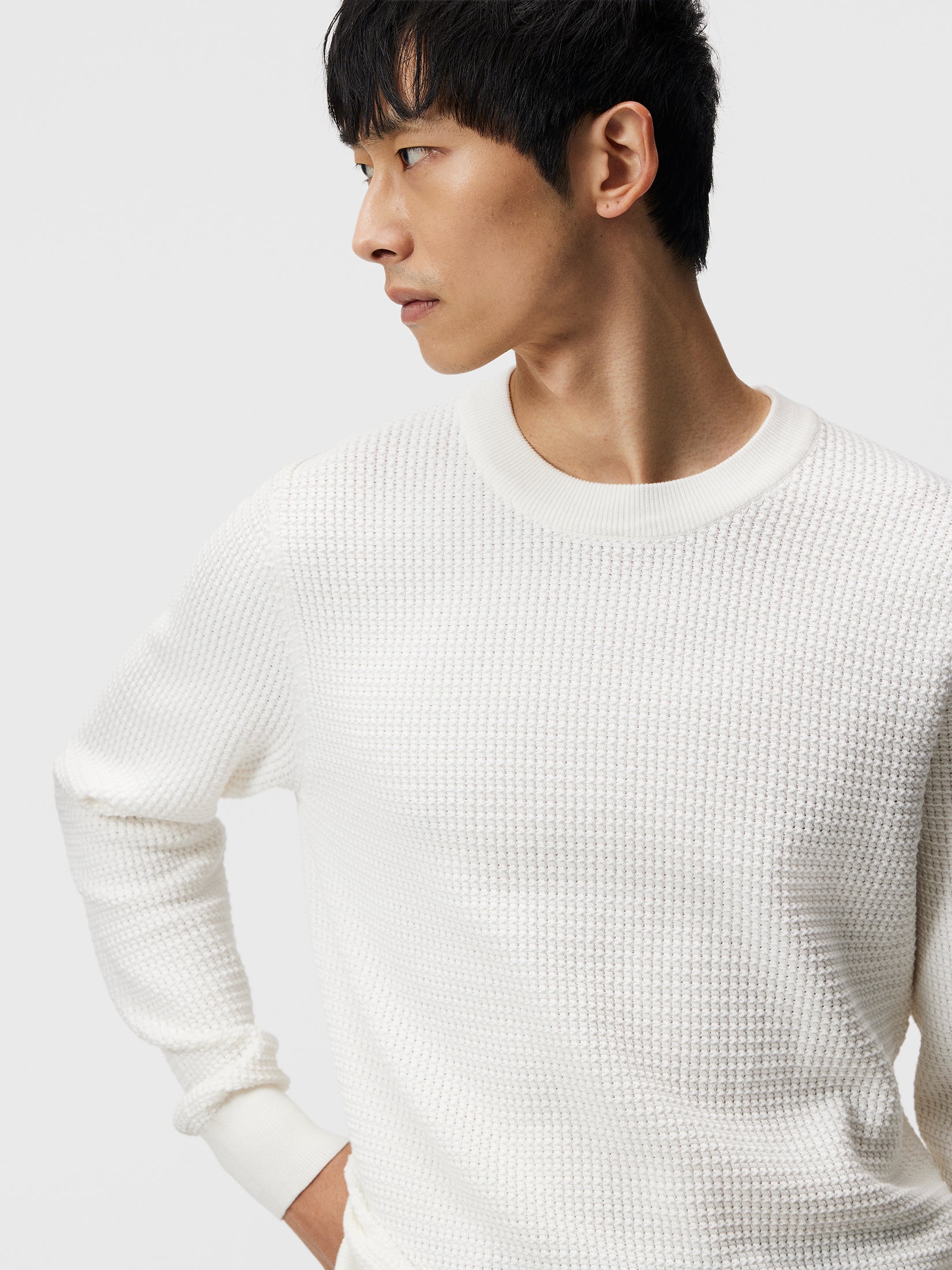 Arthur Organic Cotton Sweater